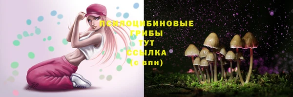 тгк Гусь-Хрустальный