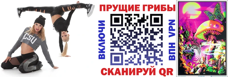 Купить  Торопец  Галлюциногенные грибы MAGIC MUSHROOMS 