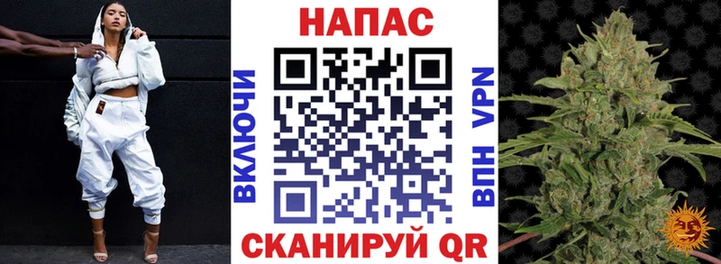 Марихуана план  Купить где  Торопец 
